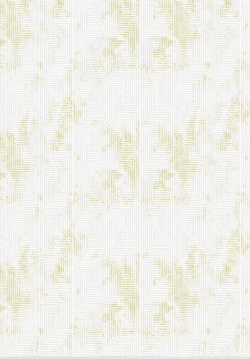 Regnum Elite Collection - Gold 8004
